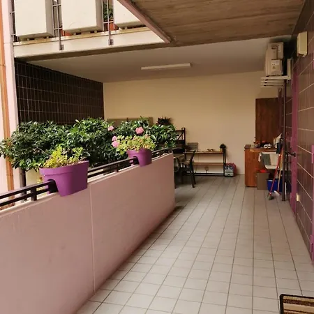 Nsm La Vie En Rose Con Box E Terrazzo *