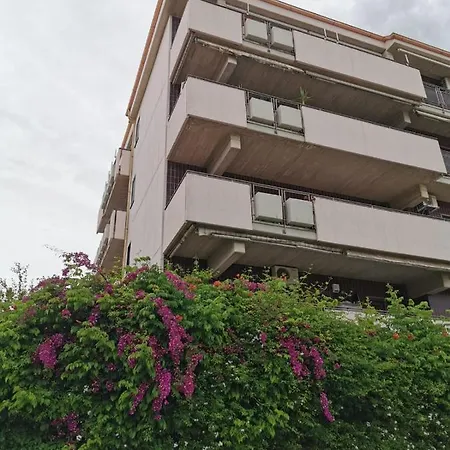 Nsm La Vie En Rose Con Box E Terrazzo Apartment *